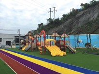 Покрытия искусственная трава DP18-356C